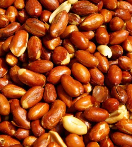 Roasted Peanut
