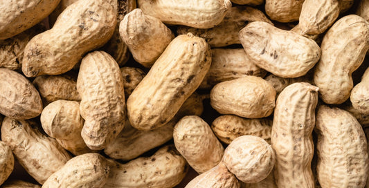 Raw/Unshelled Peanut