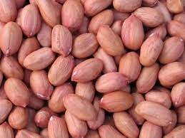 Shelled Peanuts